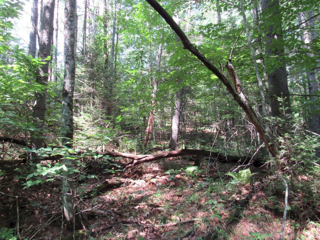 Picture 14