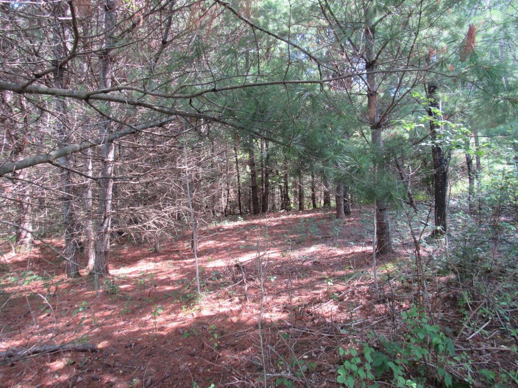 Picture 2