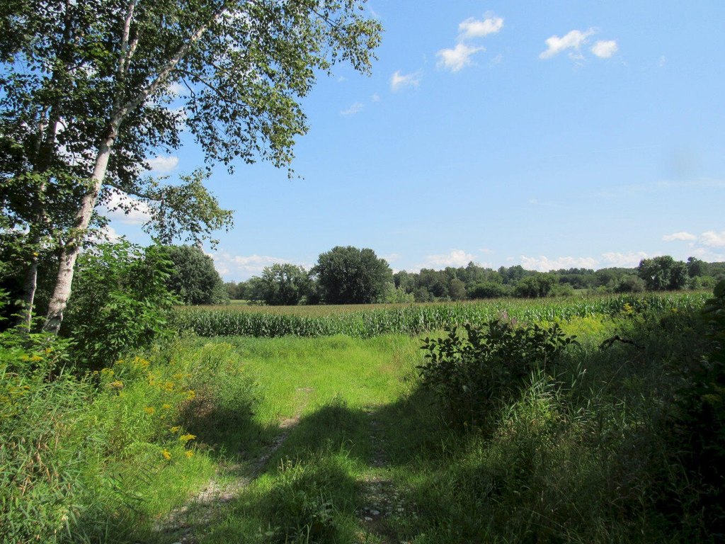 Picture 19