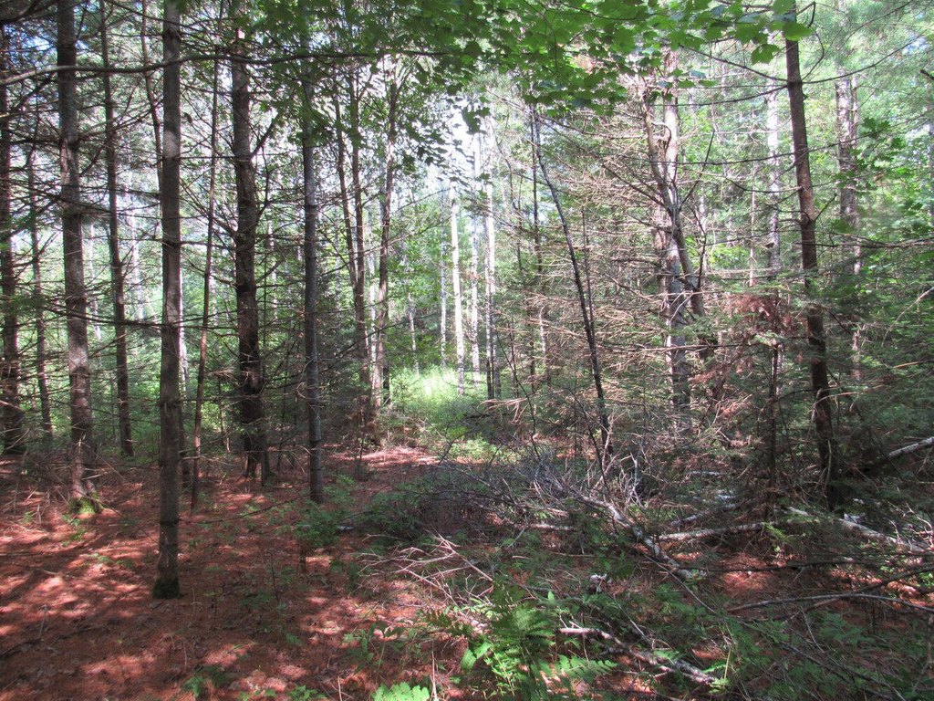 Picture 6