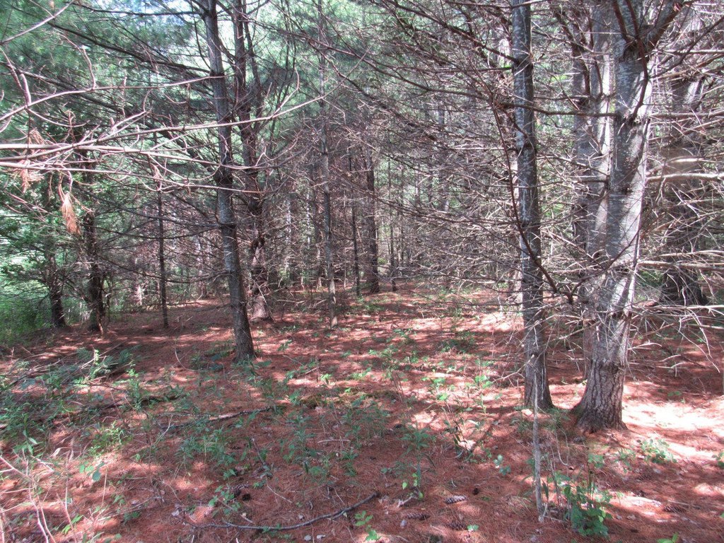 Picture 3