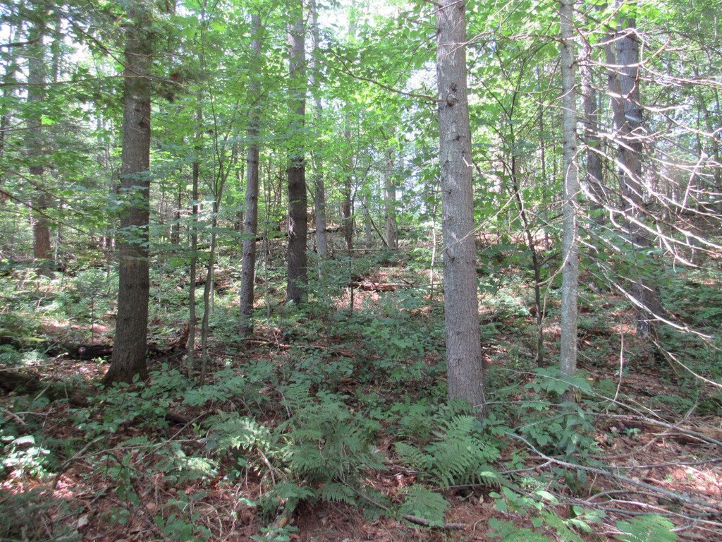 Picture 16