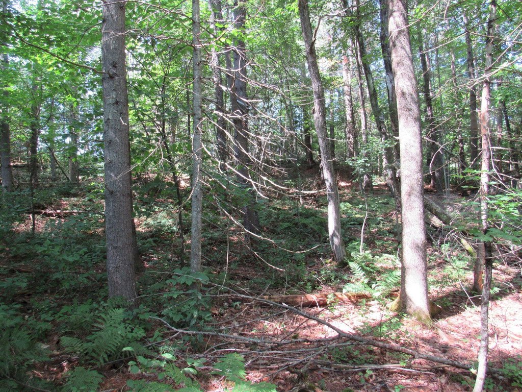 Picture 15