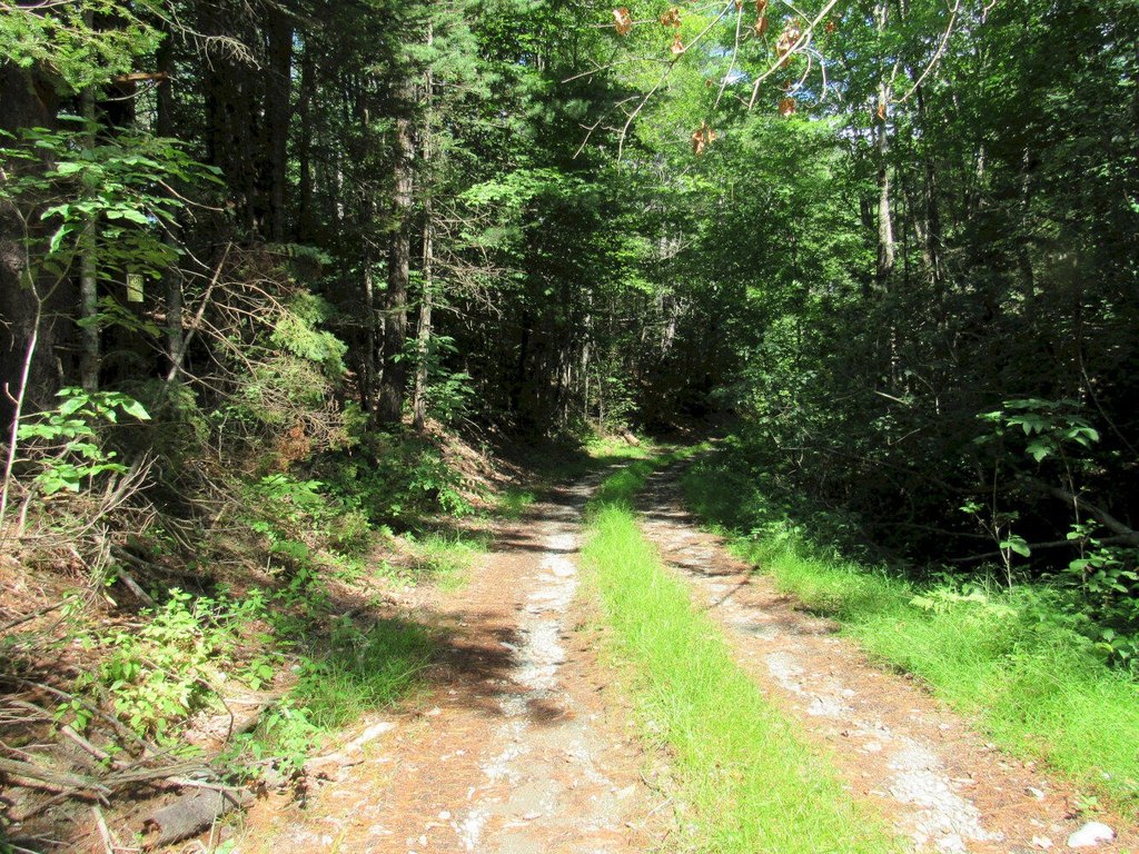 Picture 11