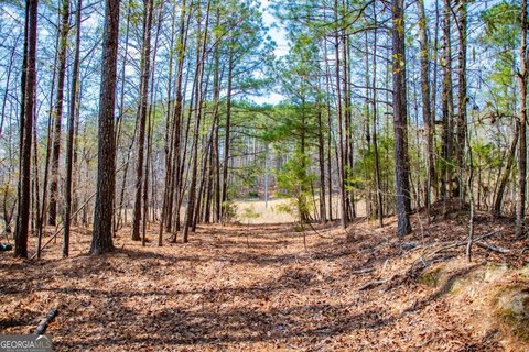 LAND - Villa Rica, GA