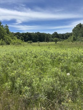 LAND - Tomah, WI