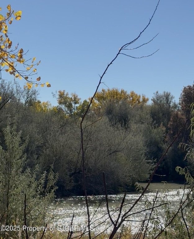 Picture 27