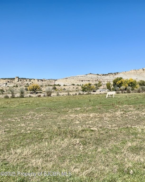 Picture 22