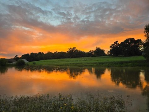 Waterfront Homesite with Multiple Builds