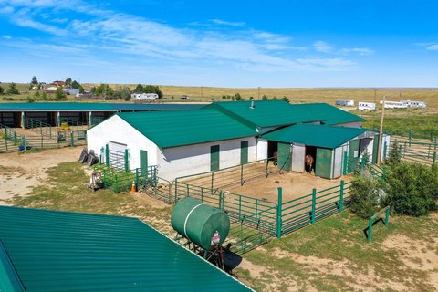 Equestrian Estate with Income Potential