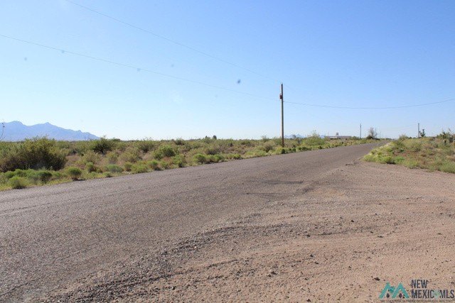 Picture 6