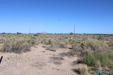 Land, Deming, NM