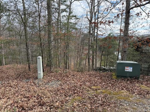 Wells Lake Land Opportunity