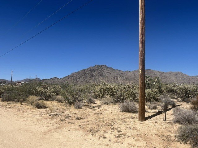 Picture 7
