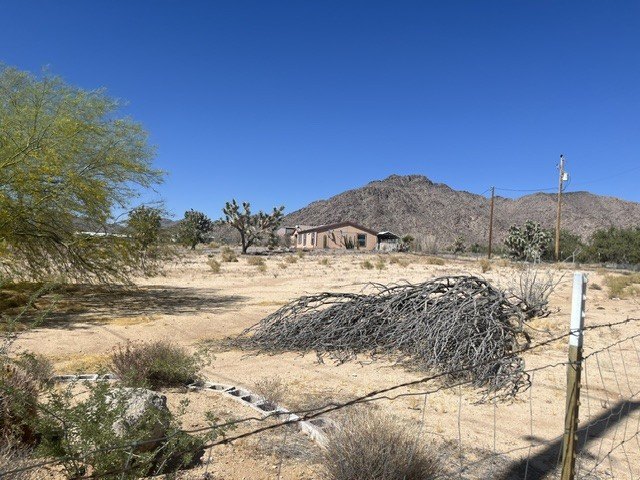 Picture 15
