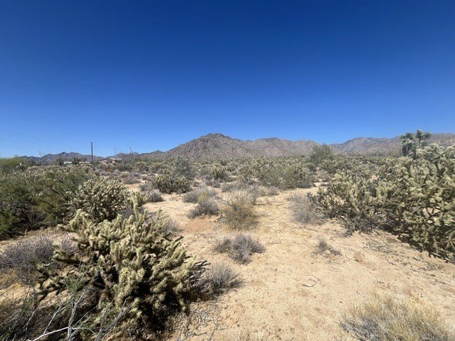 Picture 11