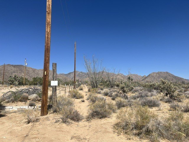 Picture 9