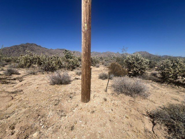 Picture 8