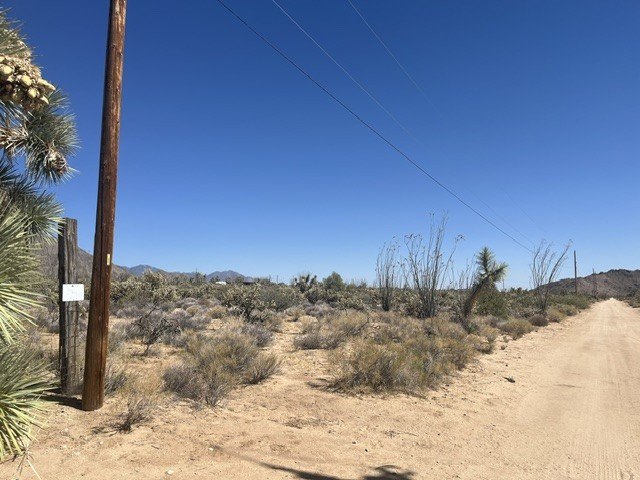 Picture 2