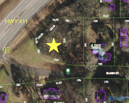 Gadsden Corner Lot on Highway