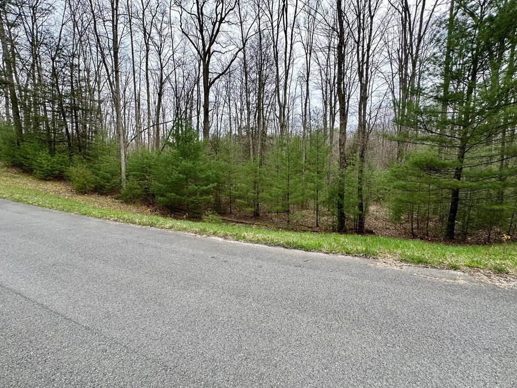 Picture 9