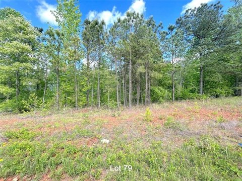 LAND - Temple, GA