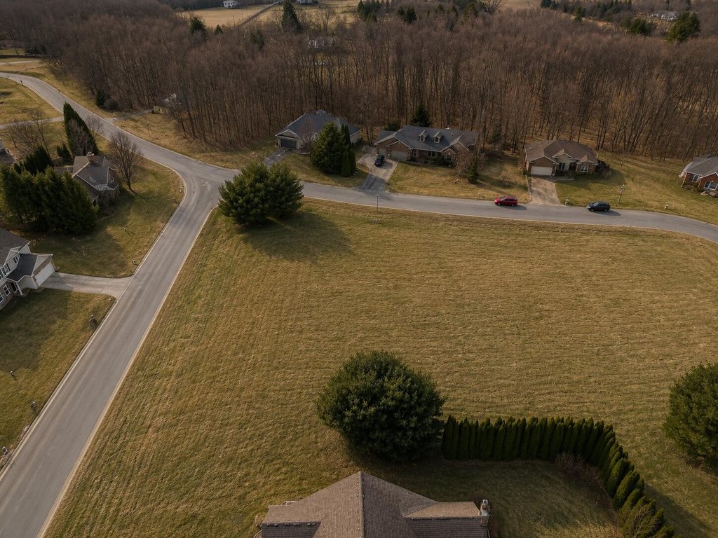 Picture 11