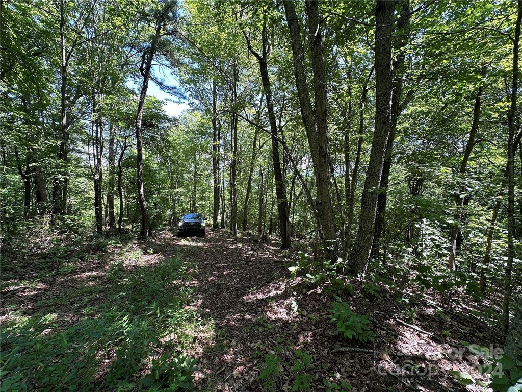 Picture 21