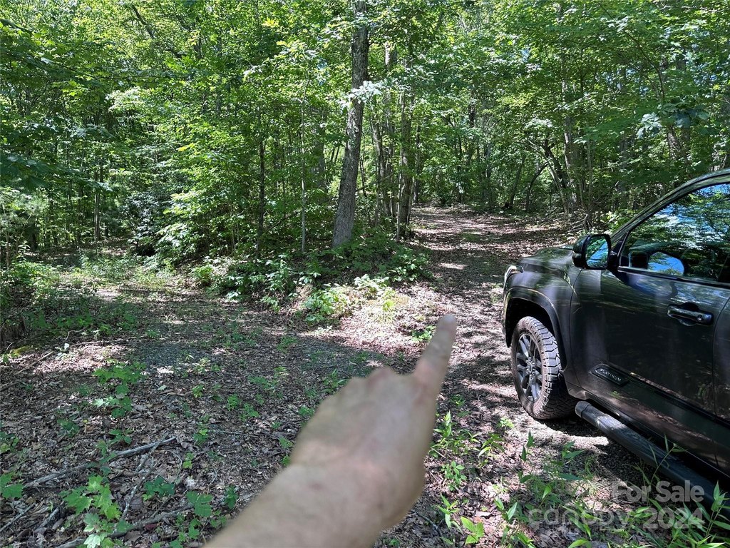 Picture 18