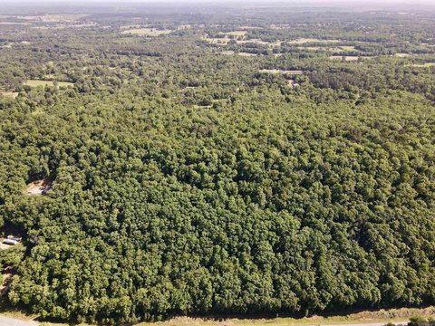 Vacant Land, Greenbrier, AR