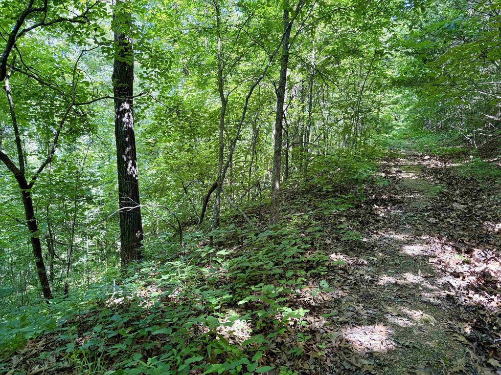 Picture 26
