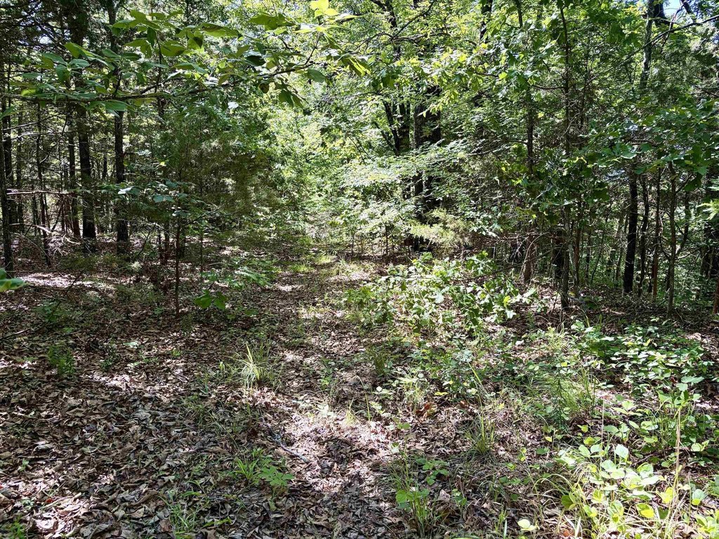 Picture 41