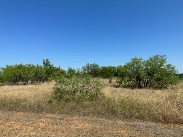 Picture 25