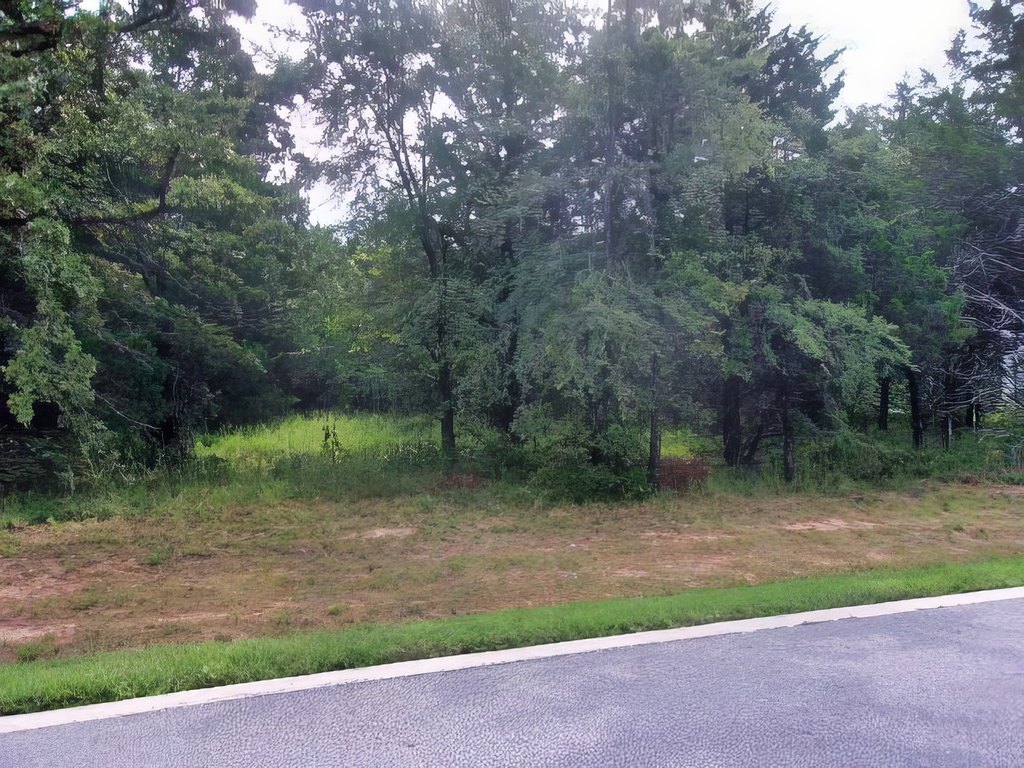 Picture 6