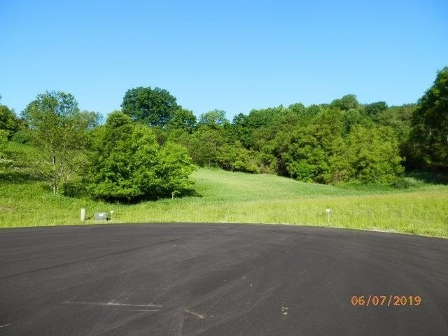 Picture 8