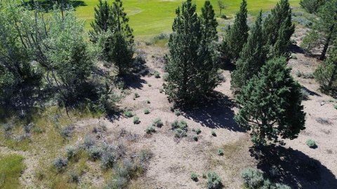 Weed, CA Land with Views