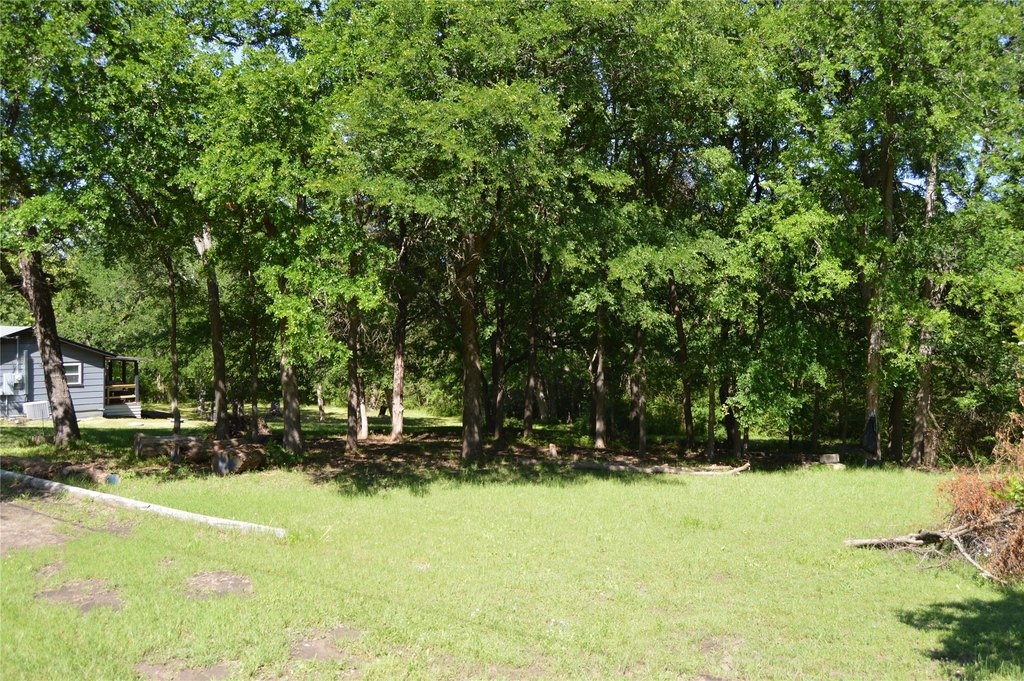 Picture 3