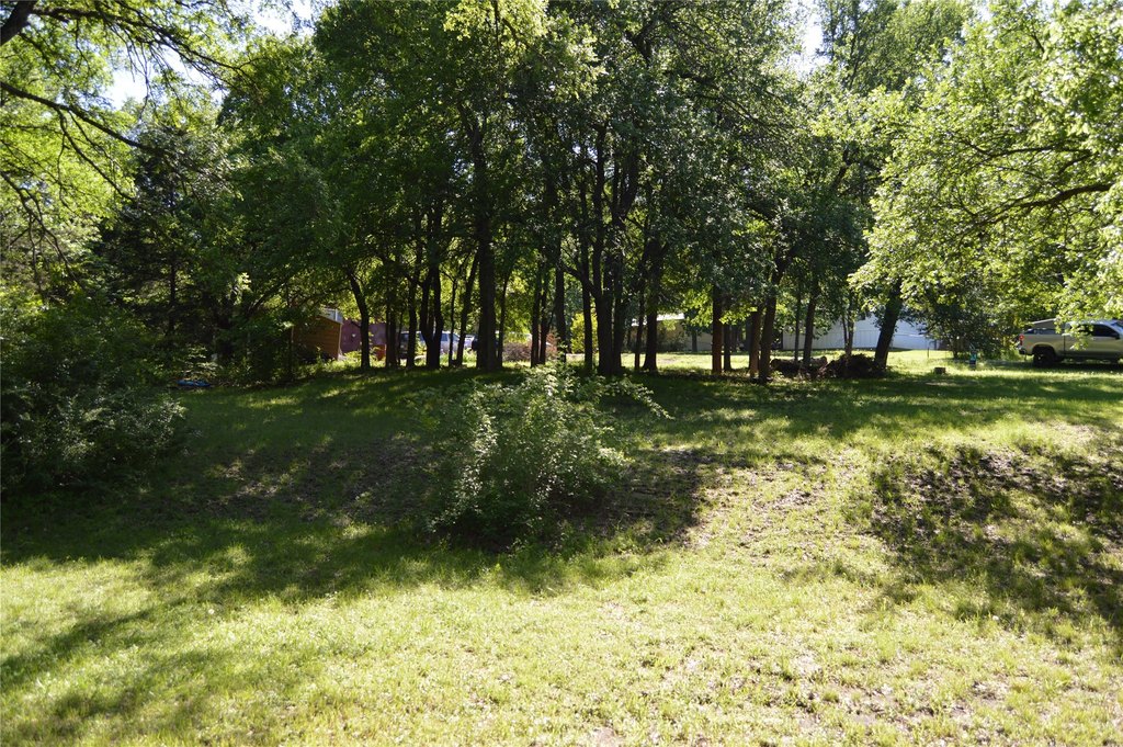 Picture 7
