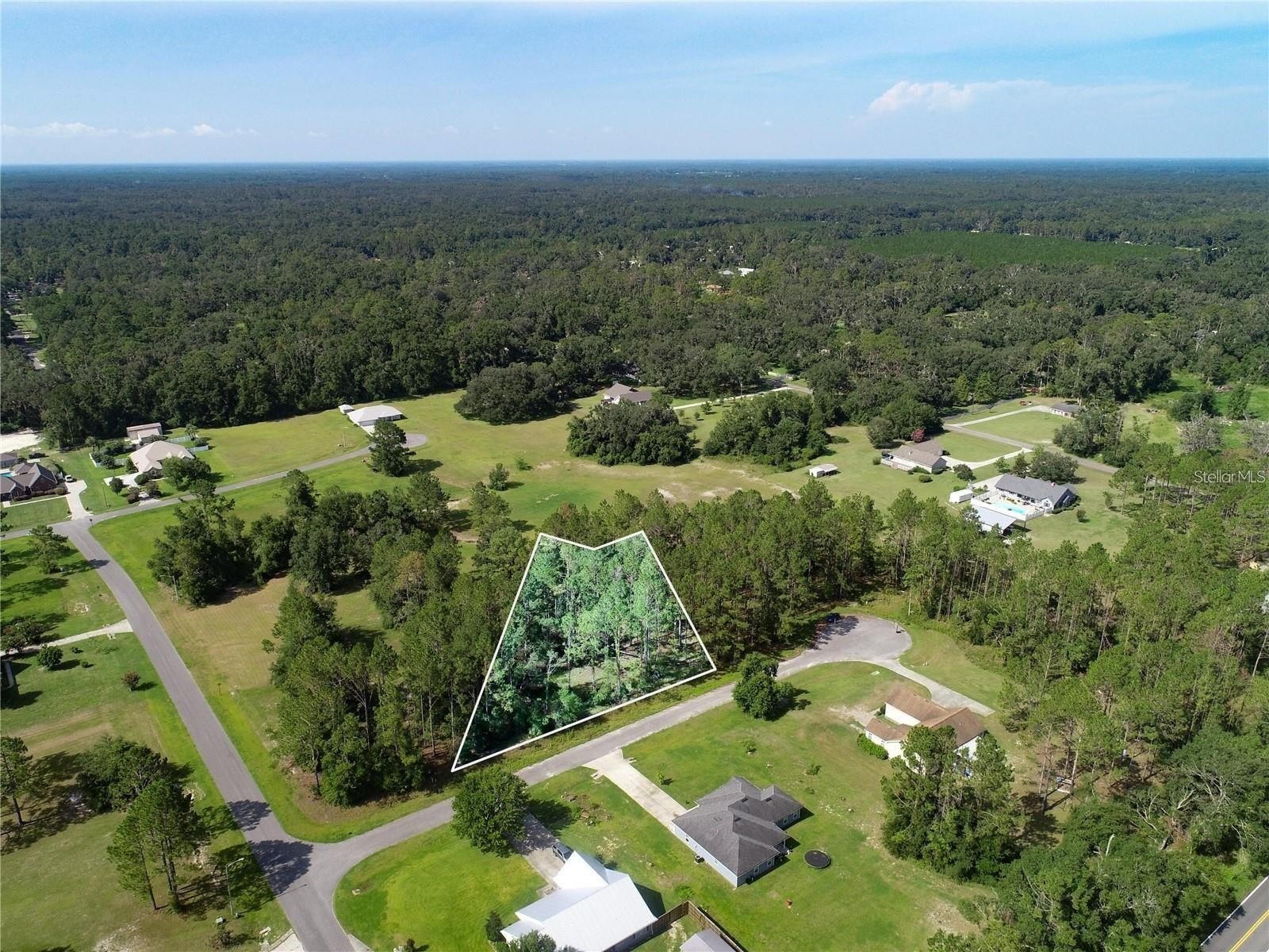Live Oak Homesite in Savannah Plantation