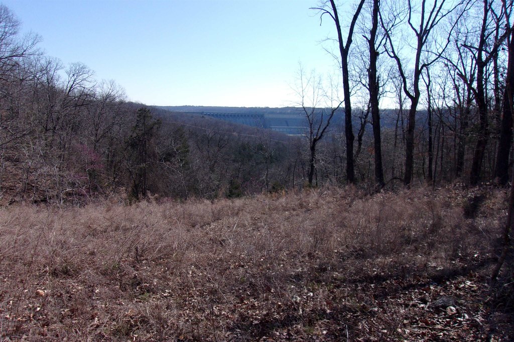 Picture 6