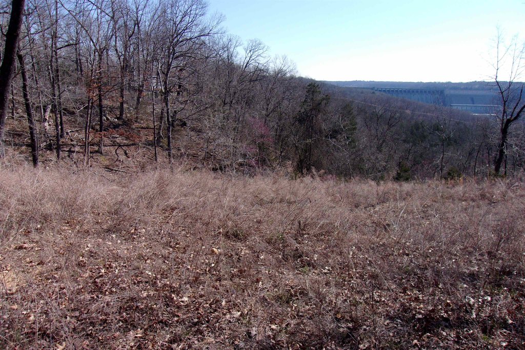 Picture 5