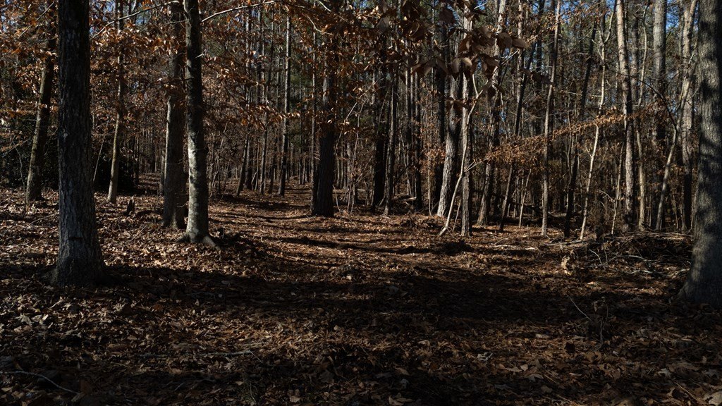 Picture 24