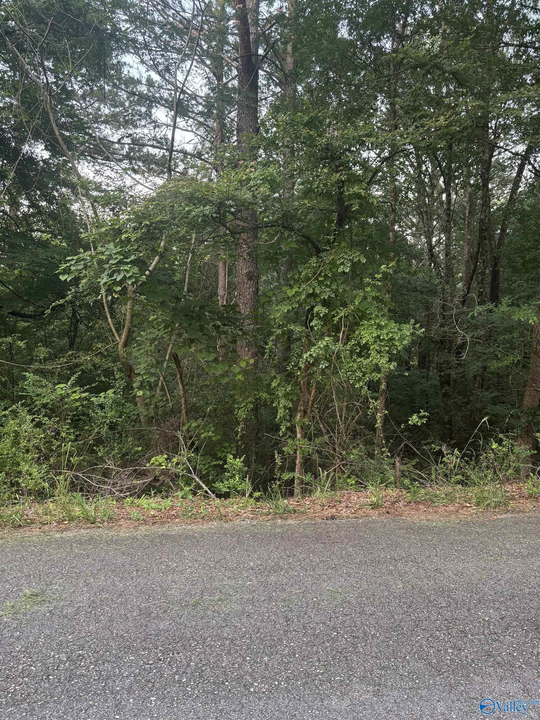 Southside, AL Wooded Land