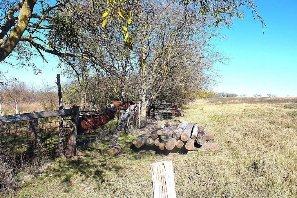 Picture 6