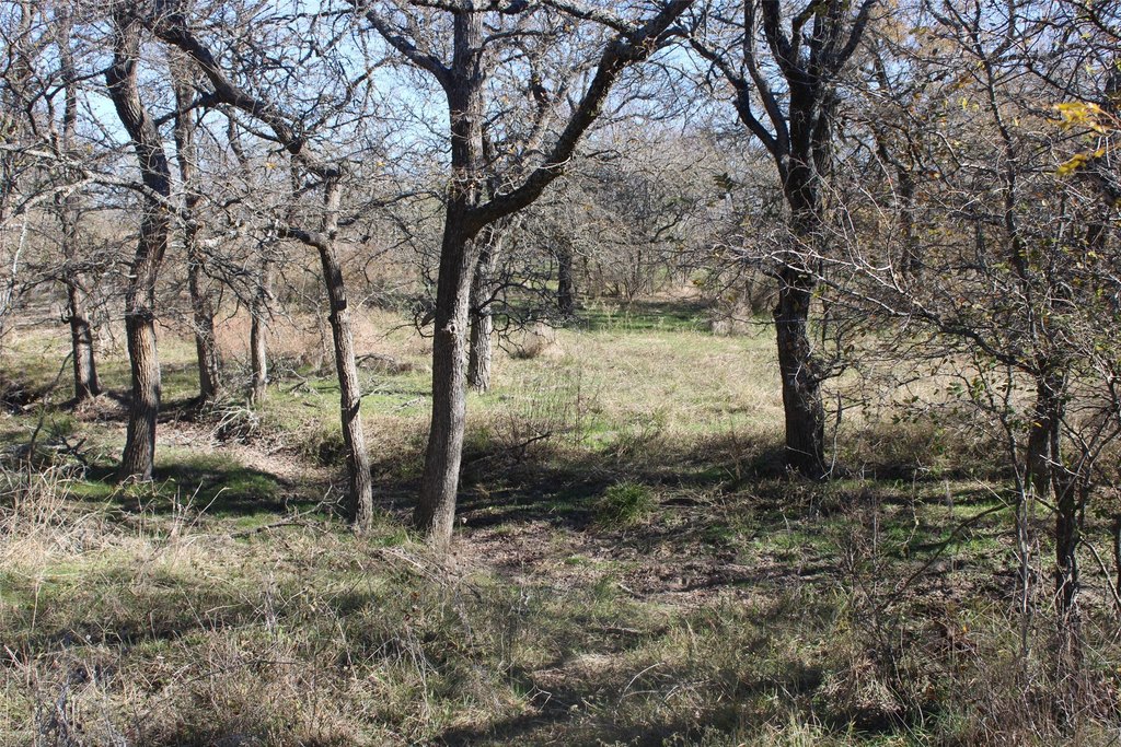 Picture 14