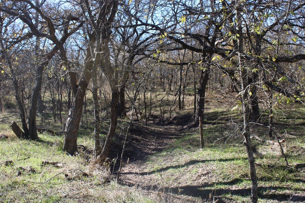 Picture 13