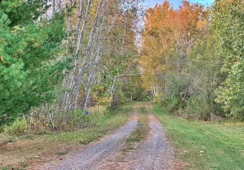 Wooded Recreation and Hunting Land