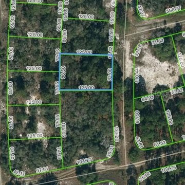 Residential Land in Lake Placid