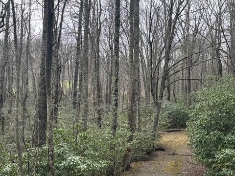 Ready-to-Build Lots Near Parkway