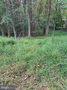 Clarksville Land with Hardwood Forests